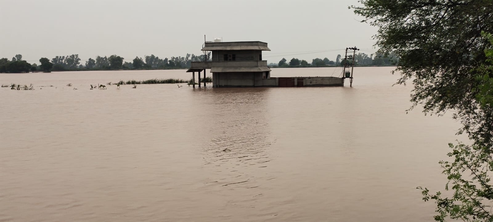 216 tubewells, 183 rooms and 158 dhanis damaged due to floods