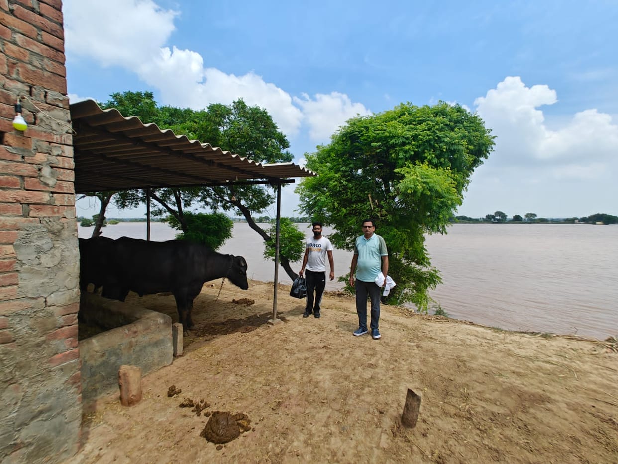 Flood water in 49 villages of Sirsa is spoiling people's health