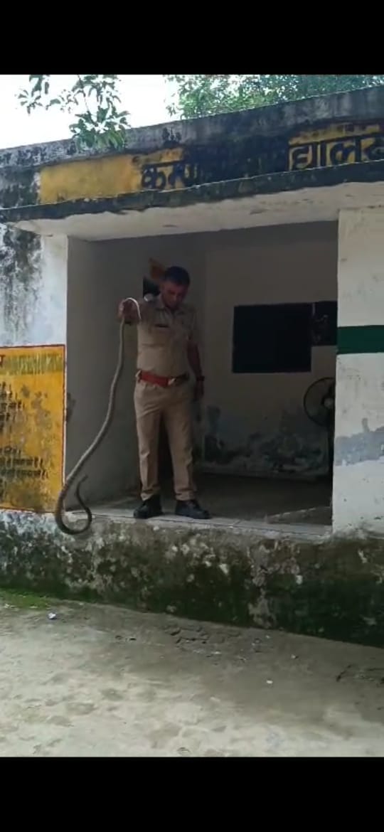 There was chaos for two hours due to snake coming out in the school