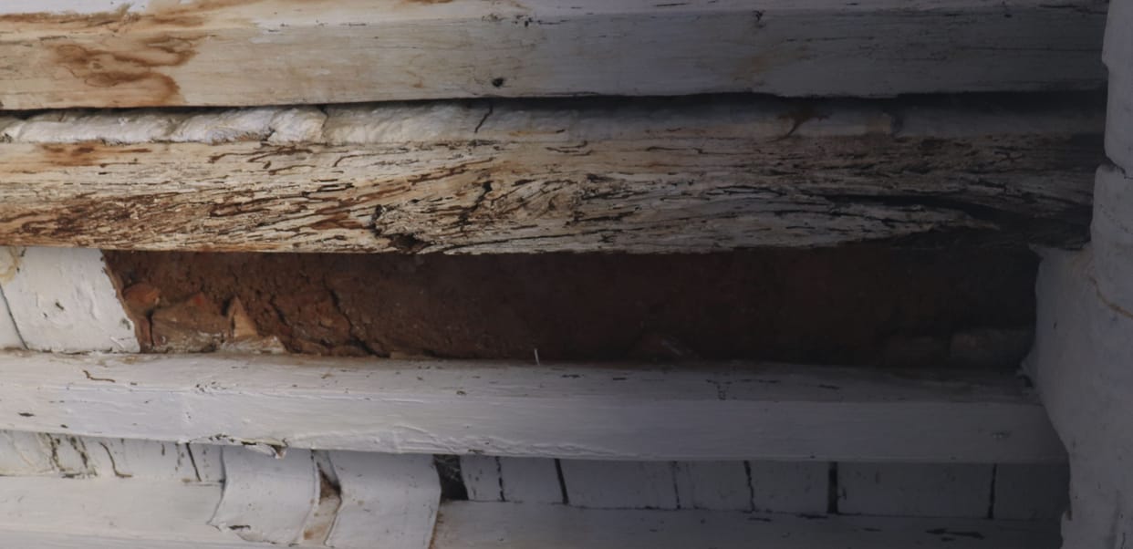 The foundation of the future is being built in dilapidated buildings