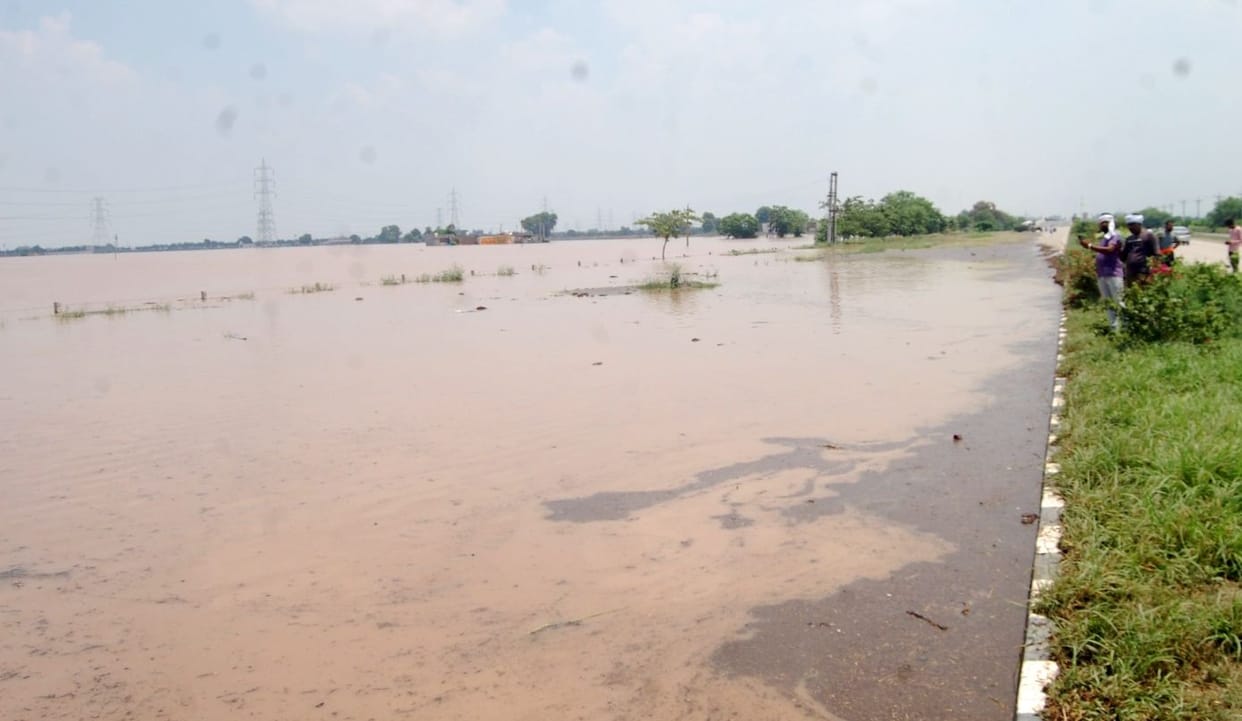 The greenery of the district was washed away in the flood, two lakh plants submerged