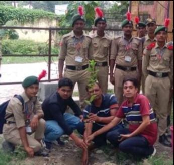 ncc cadets planted