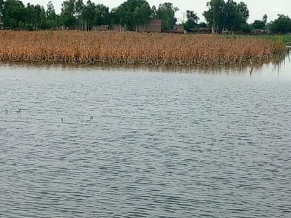 Suffering of the people of Katri... crops destroyed by drowning in floods, power supply also stalled