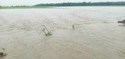 Faces of farmers blossomed due to rain
