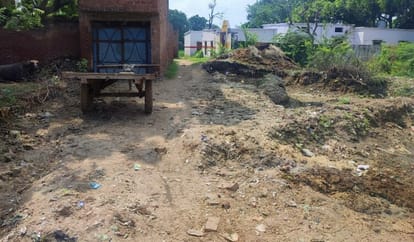 Pebbles are knocking on the way... how will flowers bloom in the temples of education