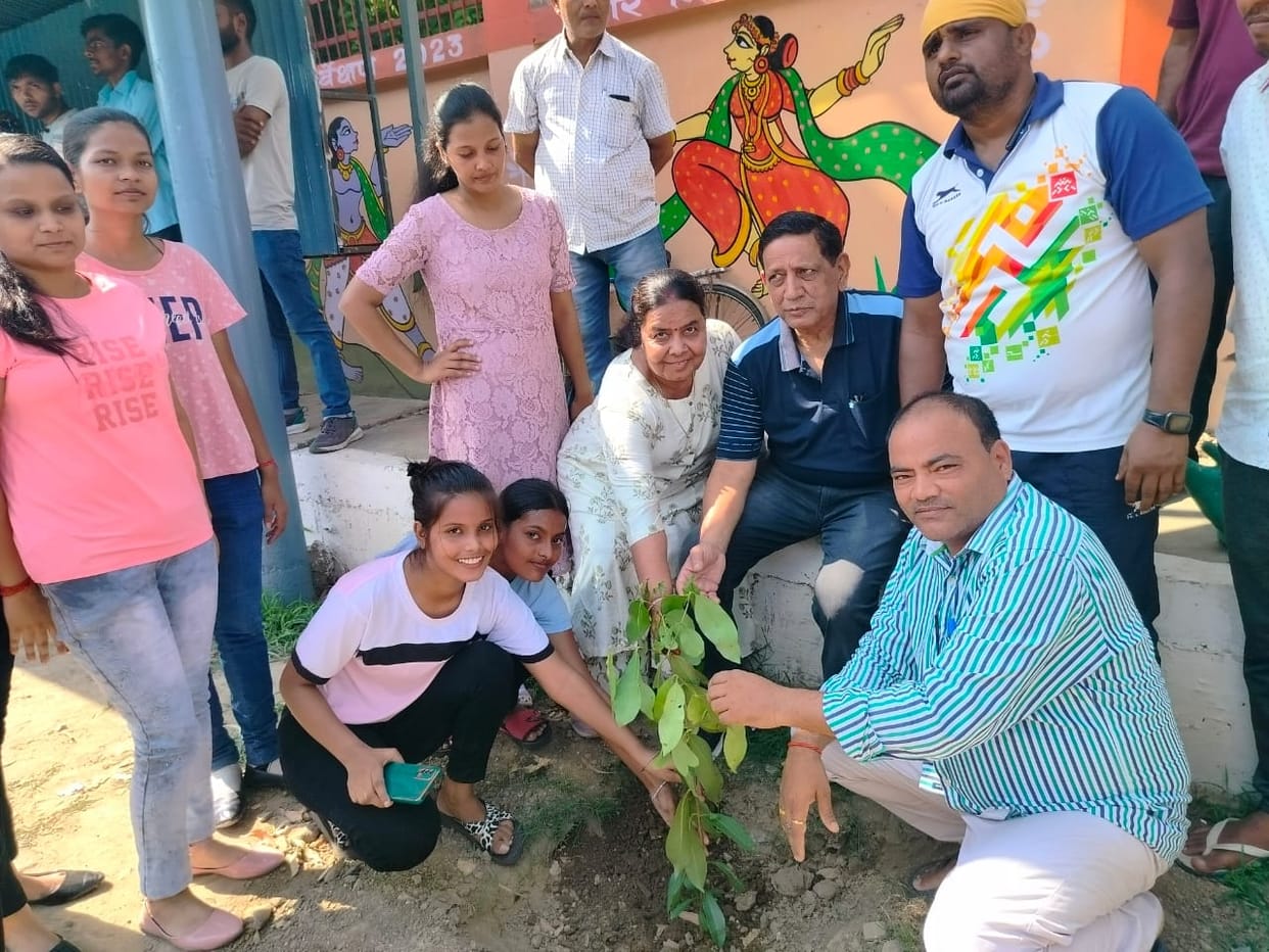 tree plantation