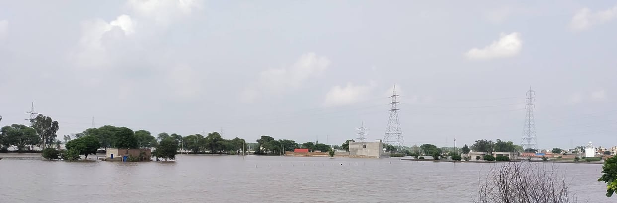 The city was saved, there is no one to take care of the fields