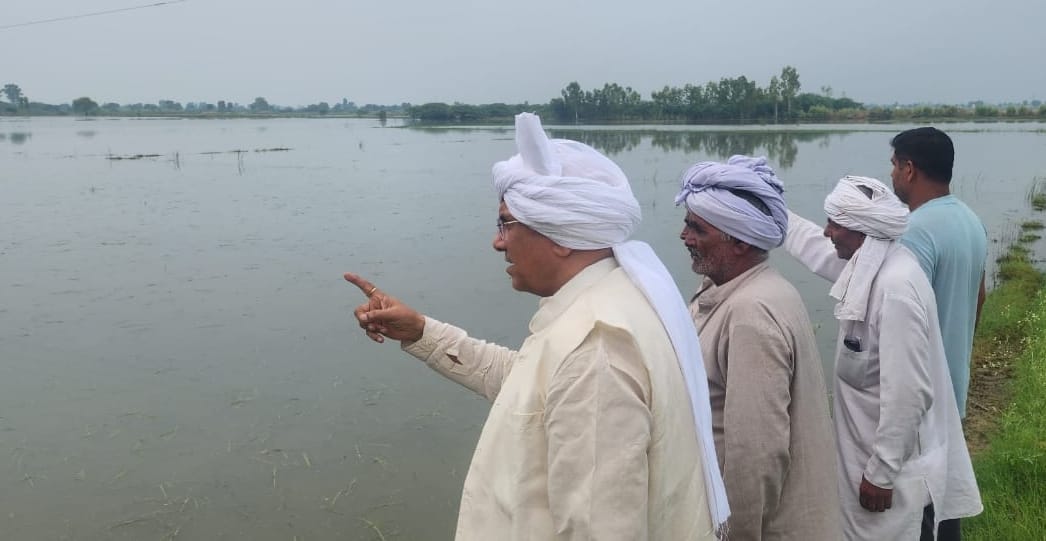 Government should give compensation for crop damaged due to rain: Krishna Murthy Hooda