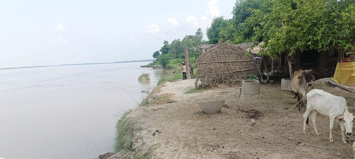 The water level stopped, along with the cutting, the beats also intensified