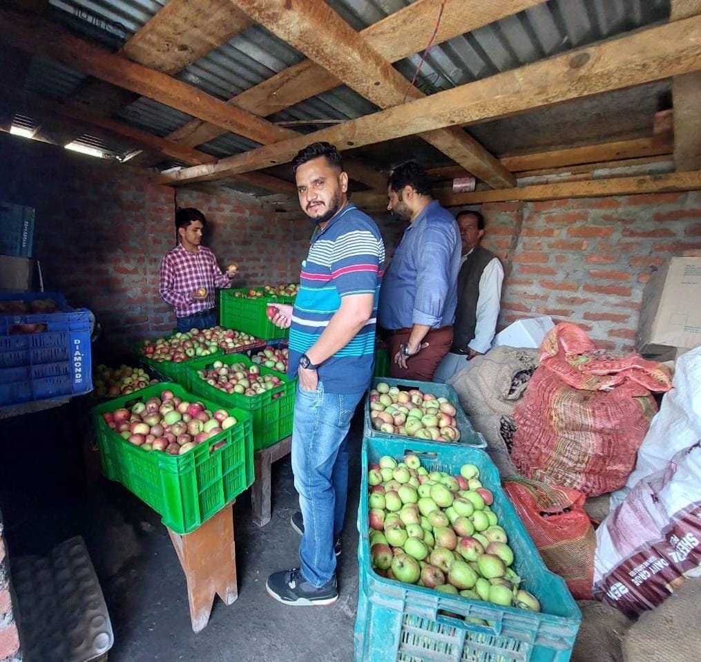 Did a business of one lakh by selling ten quintals of apples