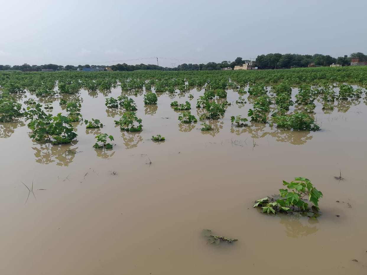Yamuna's water level decreased, situation in Ganga intact