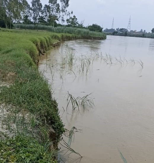 People of Baghawa village in panic due to erosion of Rapti river