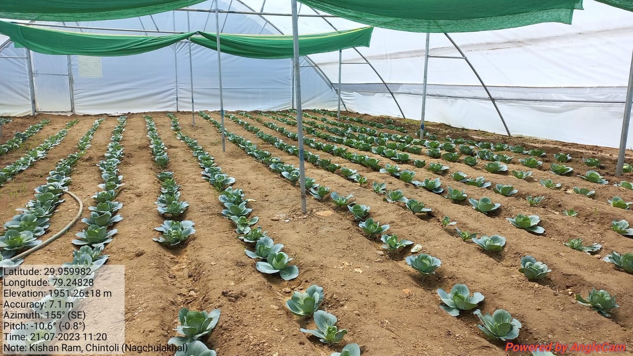 1454 polyhouse will change the fate of farmers