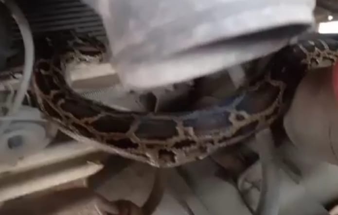 Python stuck in steering cross of bus