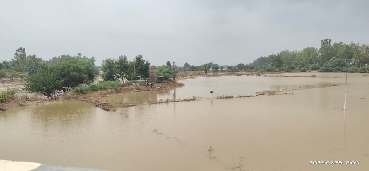 Ghaggar came below the danger mark, water has been drained from 20 percent of the fields so far