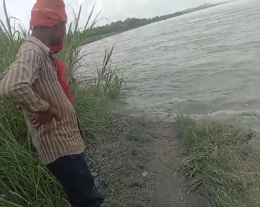 Harvesting intensified, one and a half bigha crop of sugarcane got absorbed in Sharda river