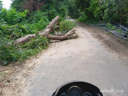 The trunk of the tree was not removed from the road even after three days