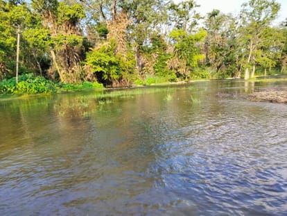 Water entered the houses of Chandia Hazara, a coastal village in Sharda