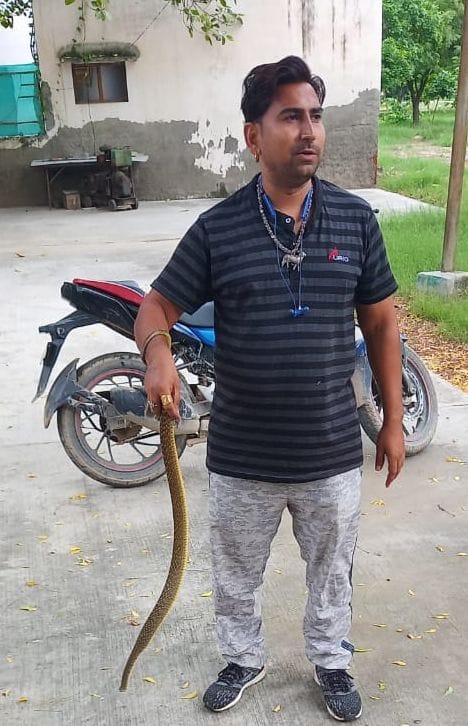 Snake caught near the safe house of new police line