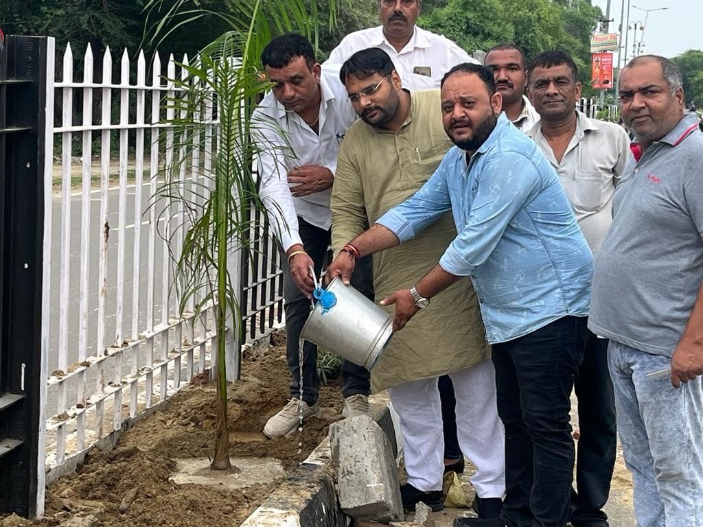 The main roads of the city will be buzzing with 600 palm saplings arriving from Saharanpur