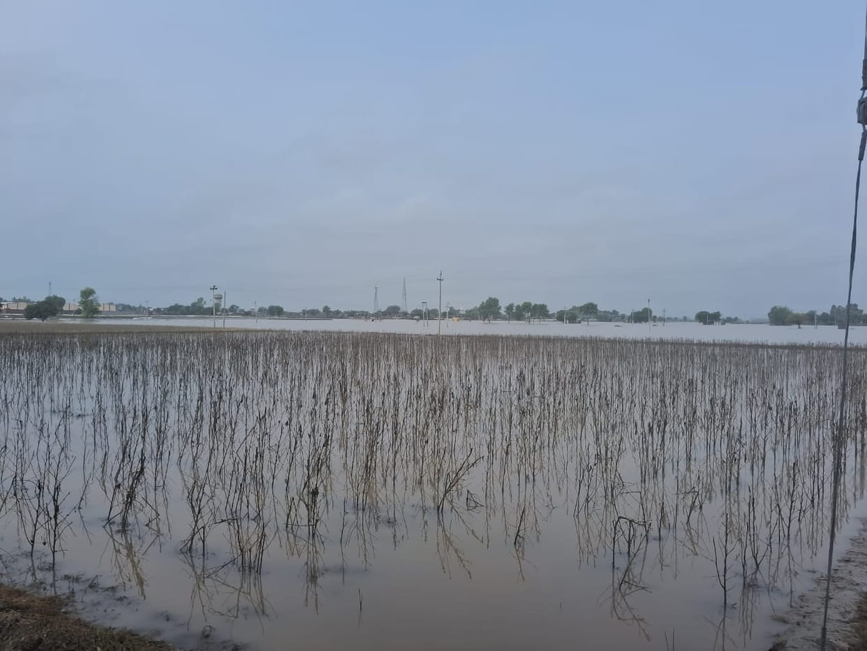 Flood waters receded, visible signs of devastation