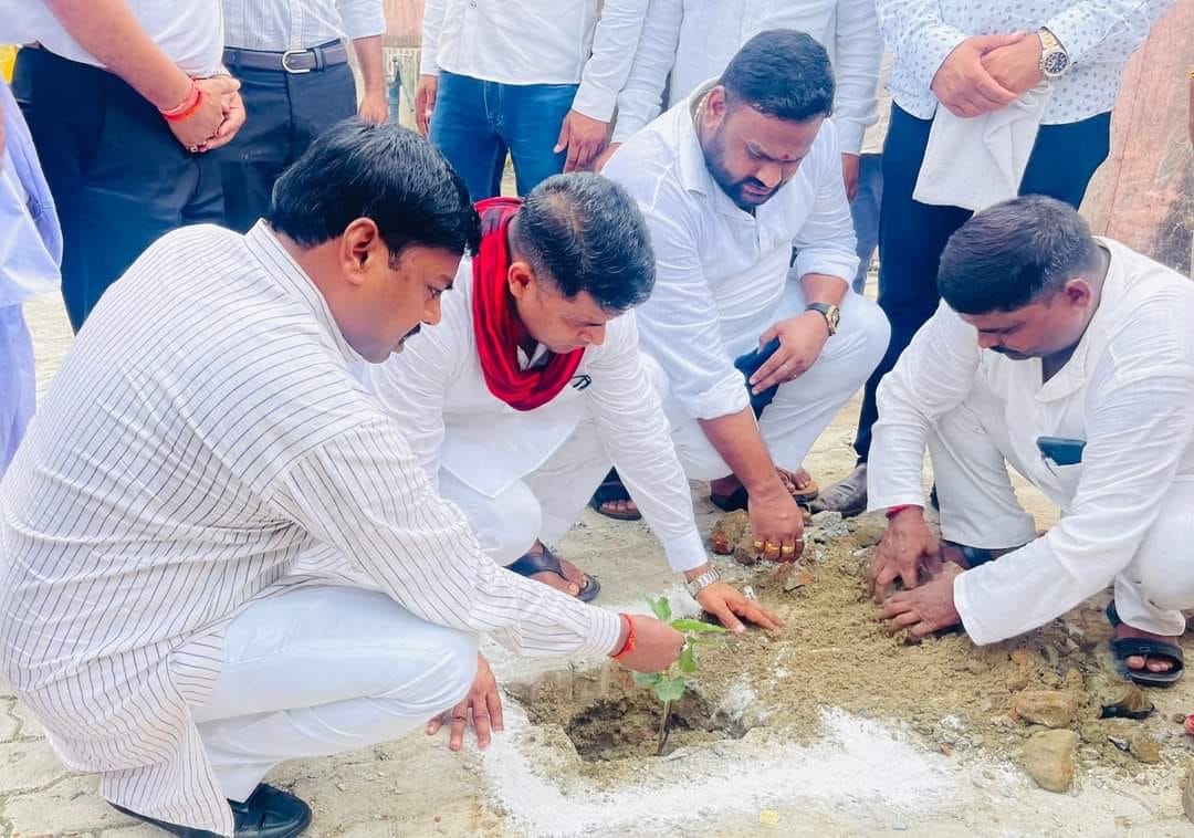 MLC planted saplings in the temple premises