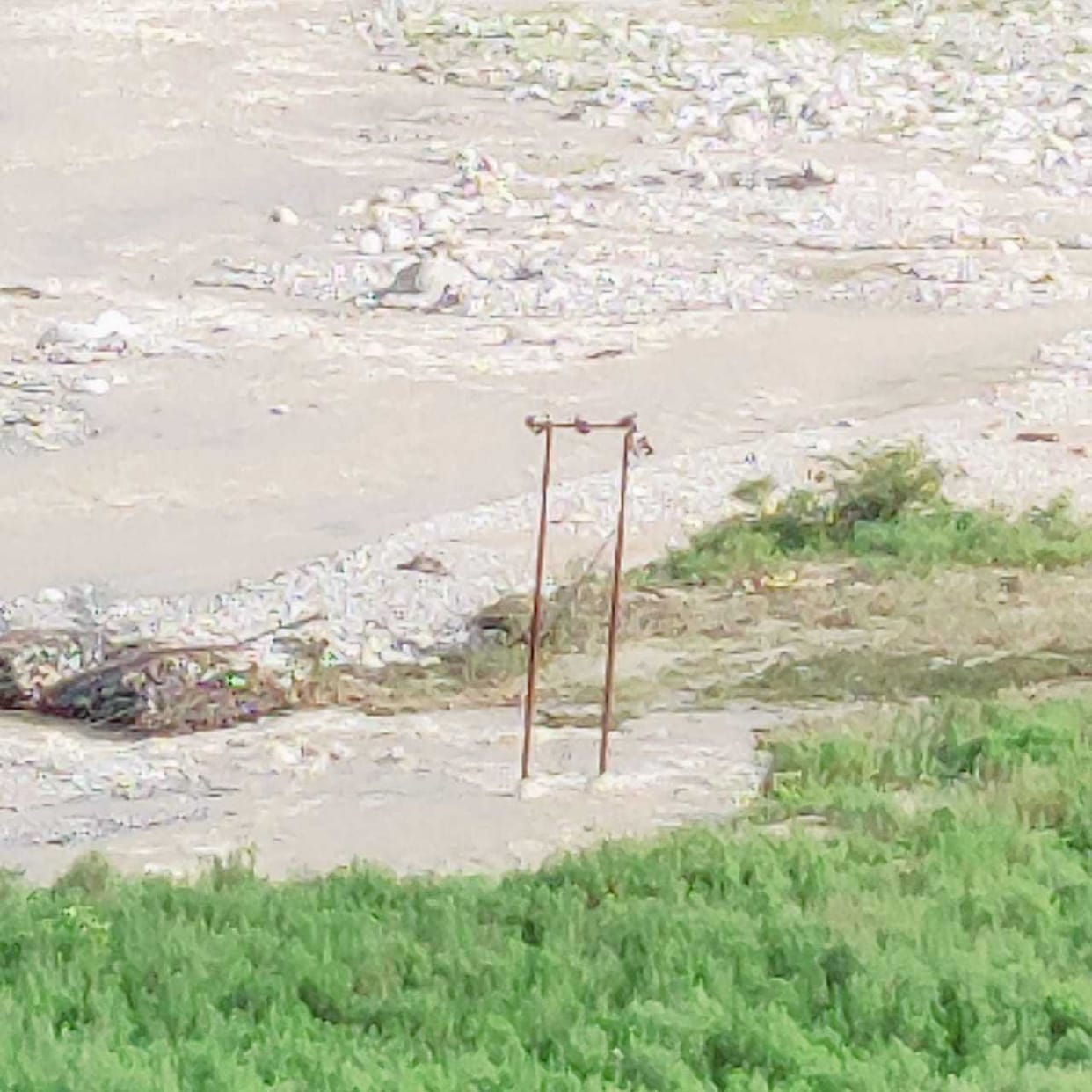 Demand to remove 11 KV line passing over Quarala river