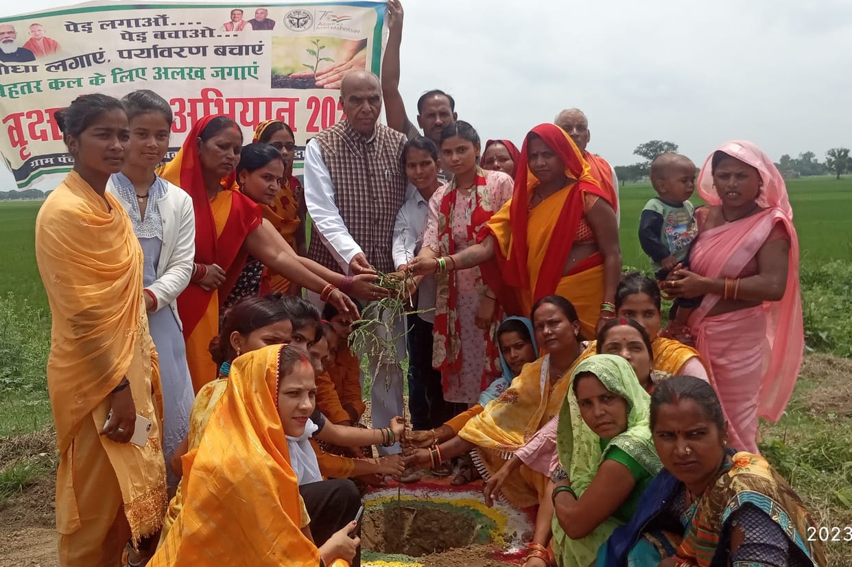 Plant trees for a better tomorrow