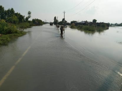 Situation deteriorated due to increase in Ganga's water level, state highway submerged