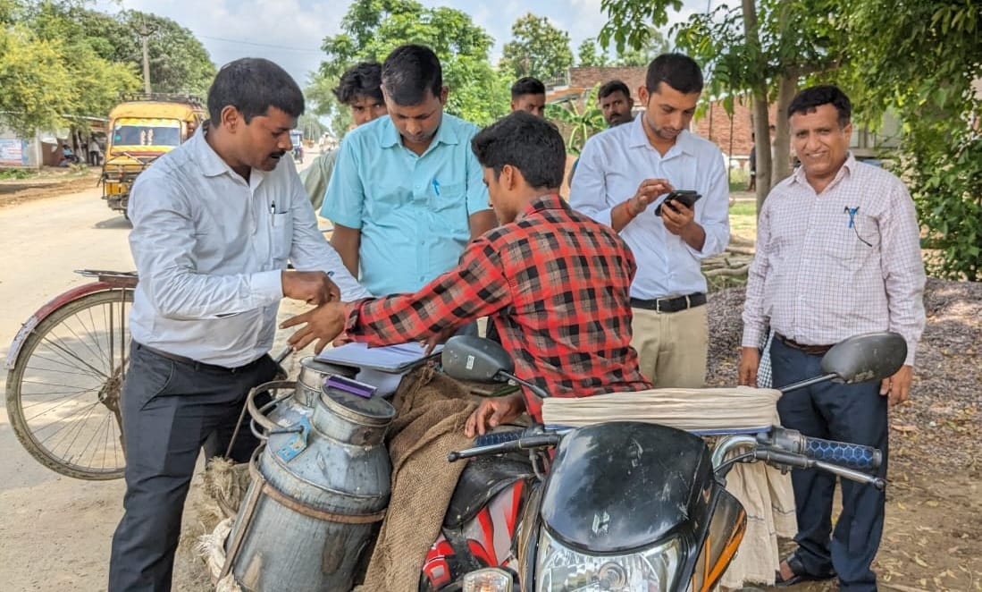 Collected milk samples for testing