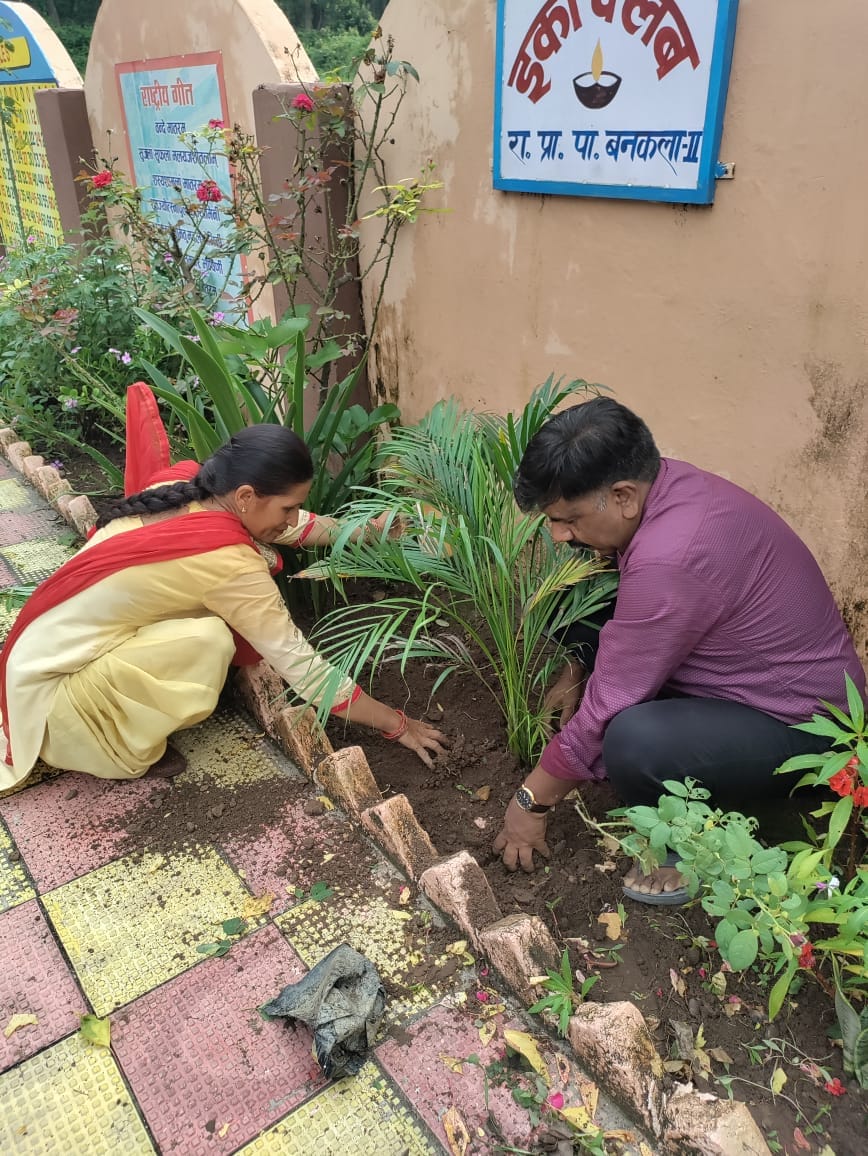 lions club organised tree plantion in bankala school