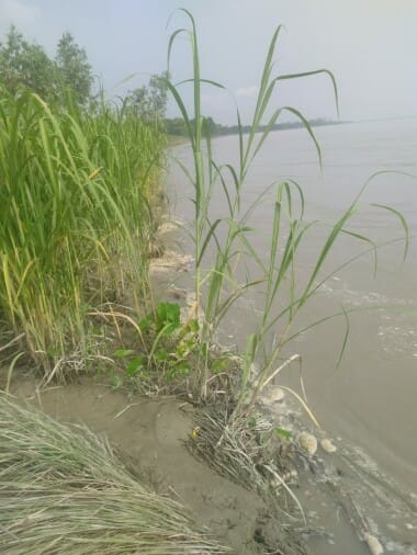 When the water level decreased, the erosion of the Sharda river caught pace