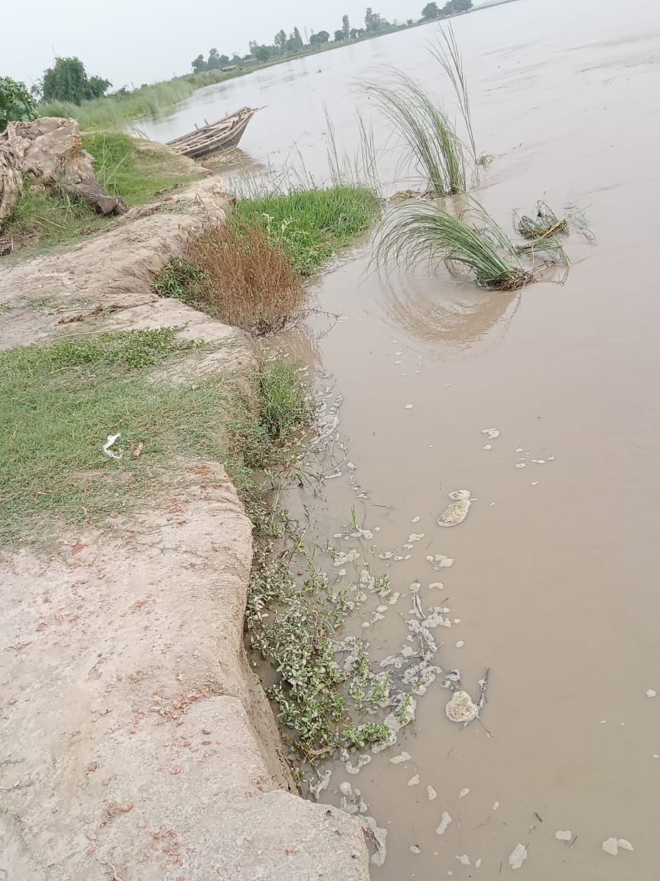 Ghaghra river stable, many houses in danger of erosion