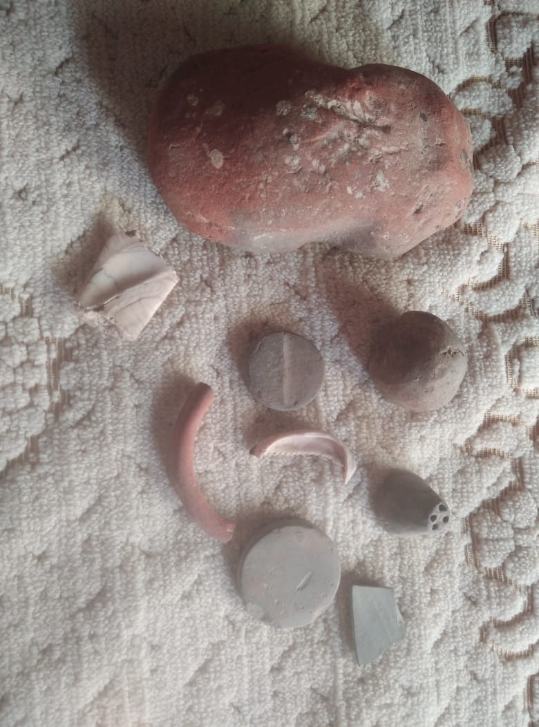 Graveyard object of Mahabharata found from historic Karna Kot mound
