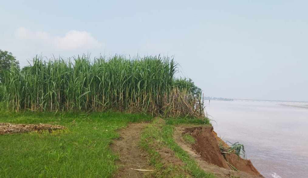 Water level of river Ganges increased in Gauspur, agricultural land continues to be cut
