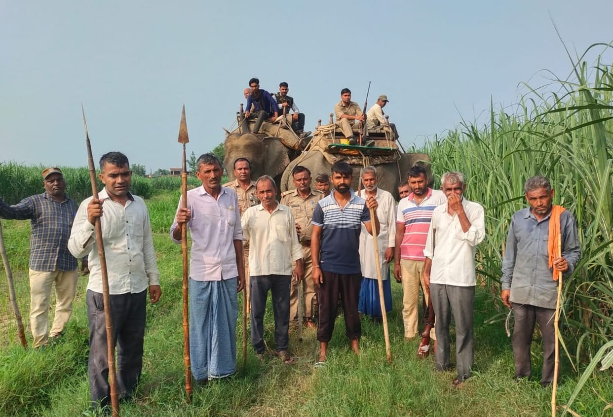 Guldar's search: Sulochana and Diana walked 15 kilometers in two days