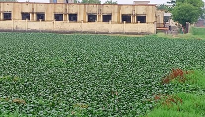 Political upheaval got in the way of college