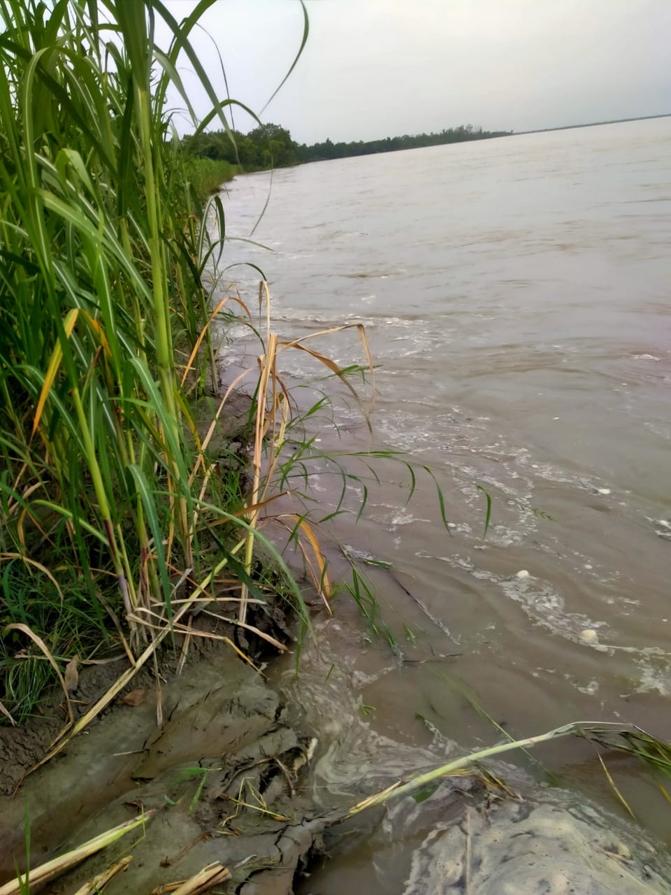 Sharda river is causing destruction, so far 50 acres of land has been swallowed
