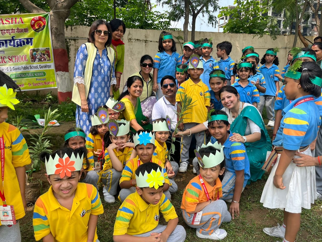 tree plantation