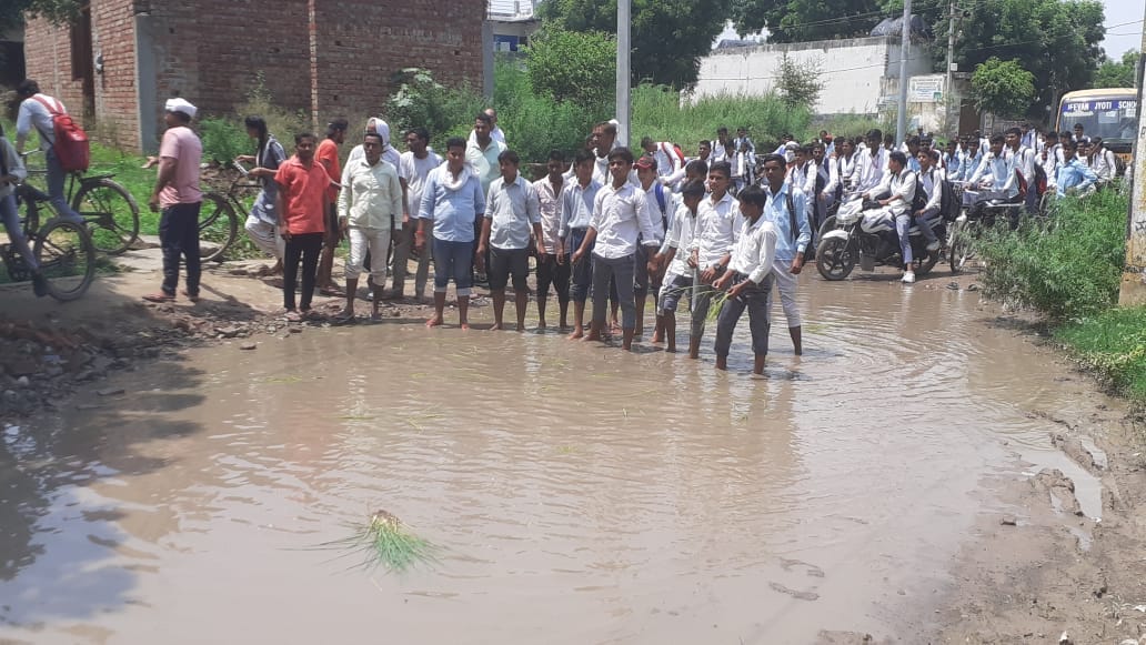 Students arrived to plant paddy plants on the road