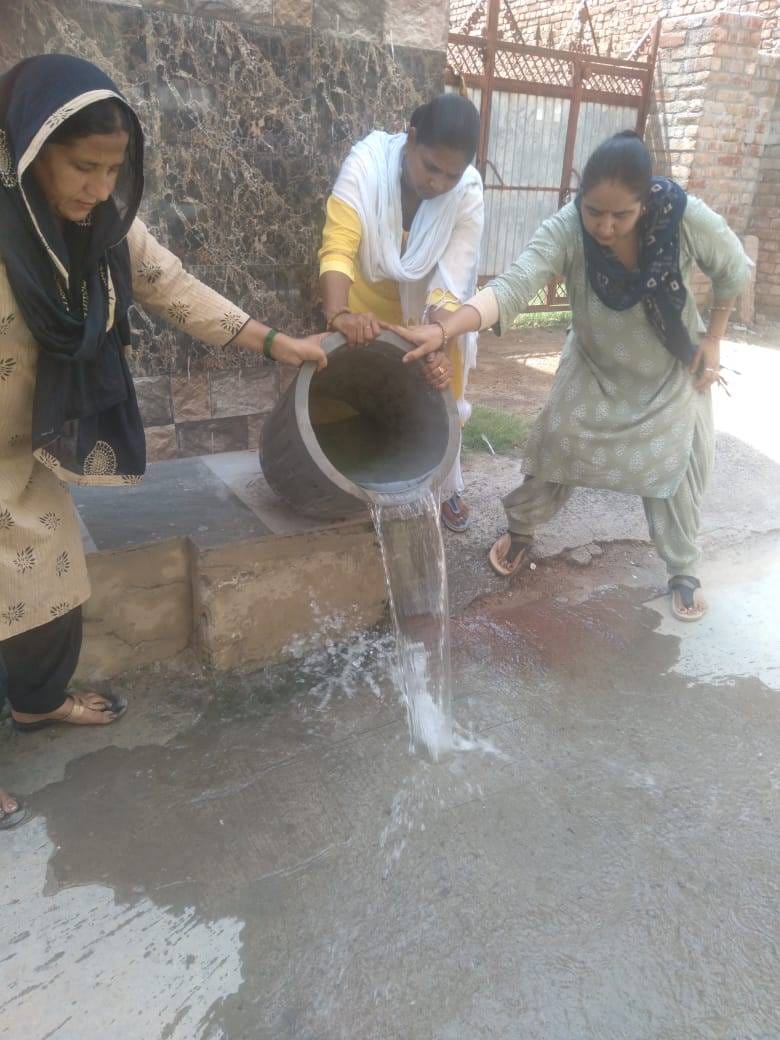 Dengue: Agarwal Colony becomes hotspot, larvae found in 15 houses