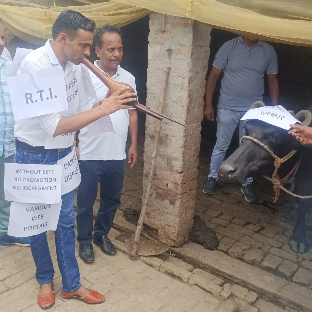 Haryana Ministerial Staff Association played bean in front of buffalo