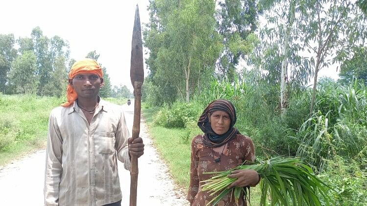 Fear of Guldar, farmers are not able to bring fodder for animals