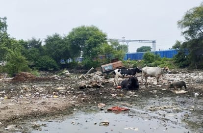 The body of the railway station is changing, but when will the shadow of dirt be removed?