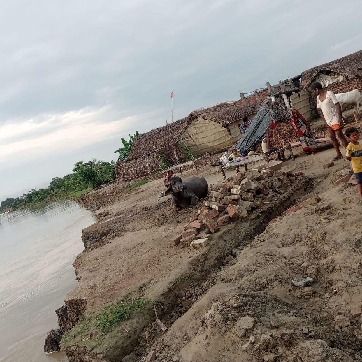 Nine families were displaced, half a dozen felled