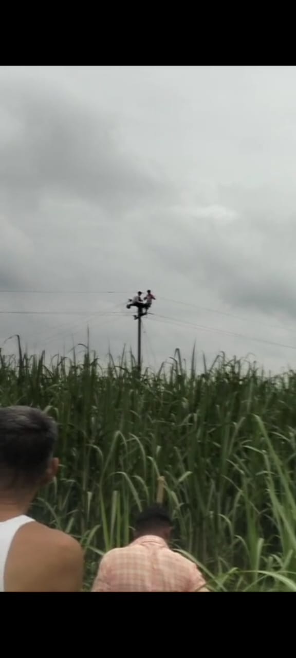 Two linemen who went to fix the fault climbed the pole after seeing Guldar