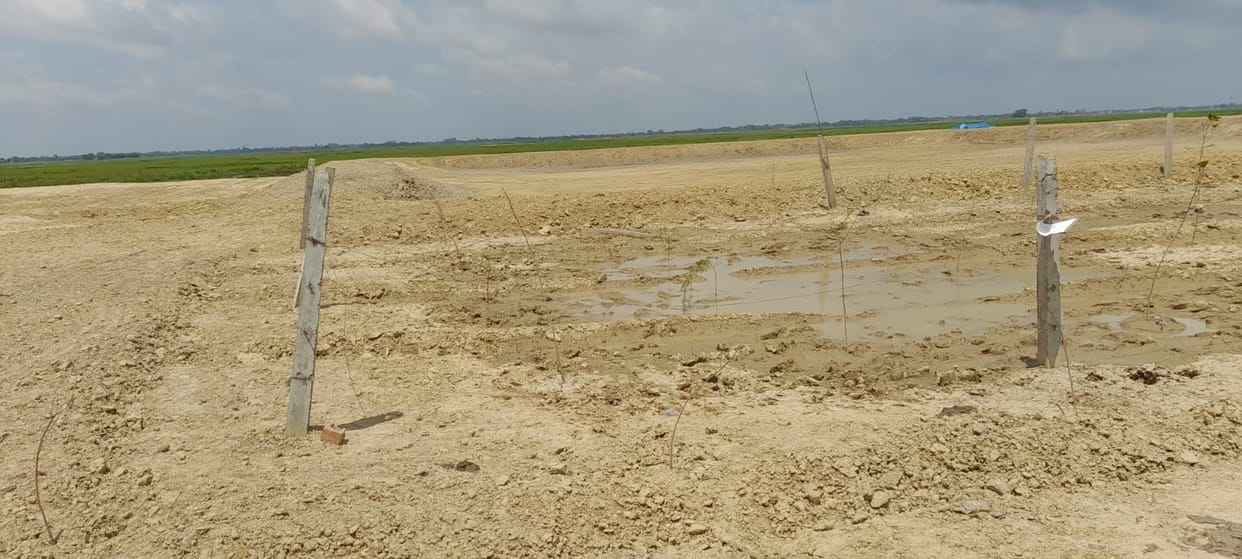 Animals ate three thousand plants including the plant of the minister in charge of the district