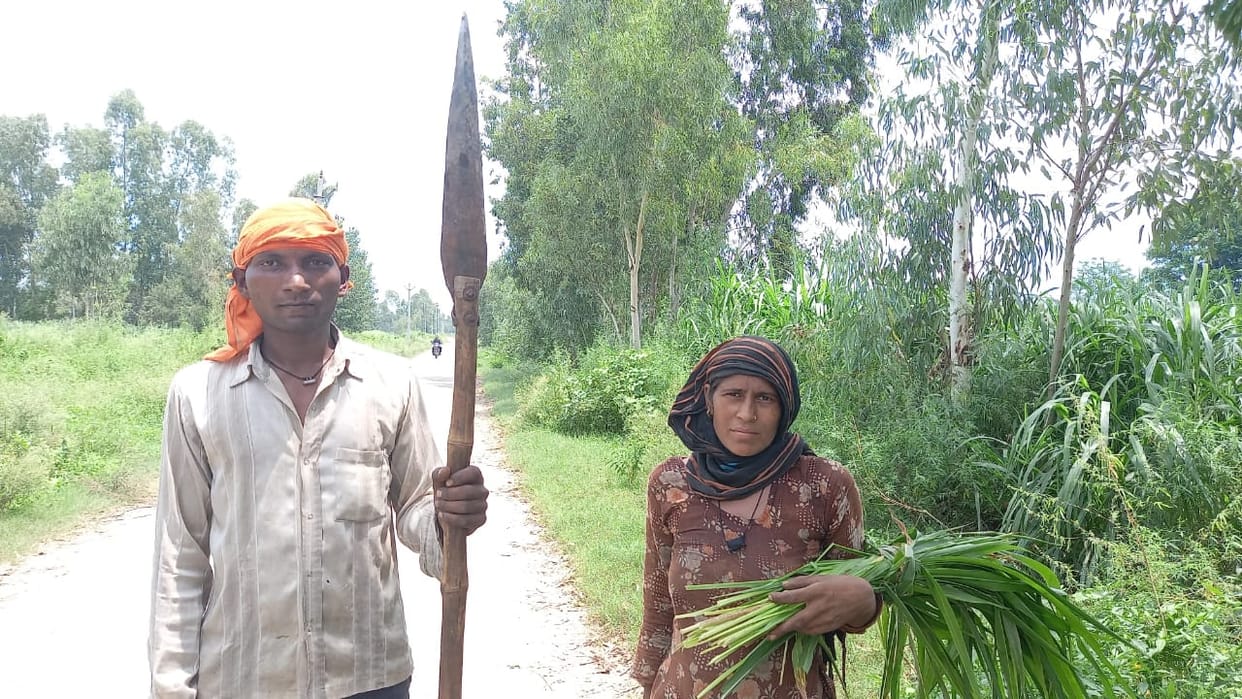 Fear of Guldar, farmers are not able to bring fodder for animals