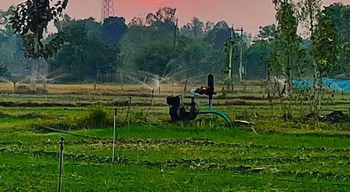 Farmers upset due to crop failure