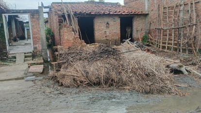 The bull destroyed the farmer's hut